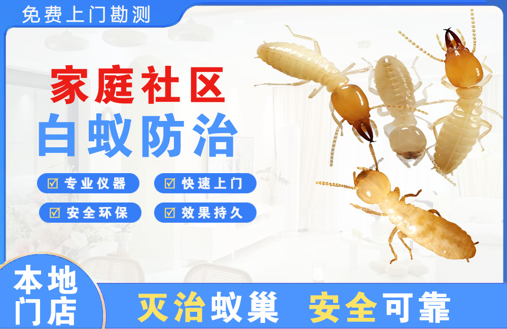 温州家庭社区白蚁防治