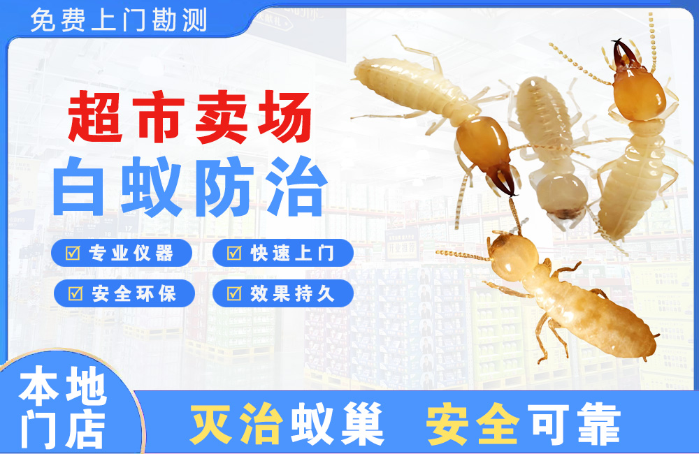 温州超市卖场白蚁防治
