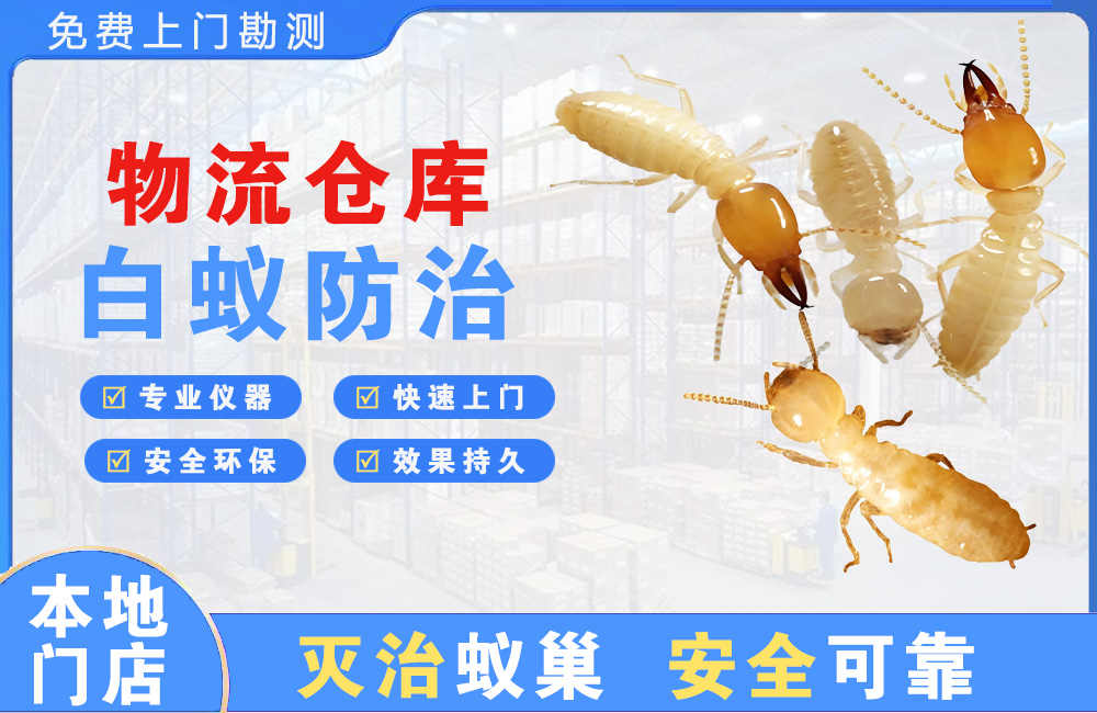 温州物流仓库白蚁防治