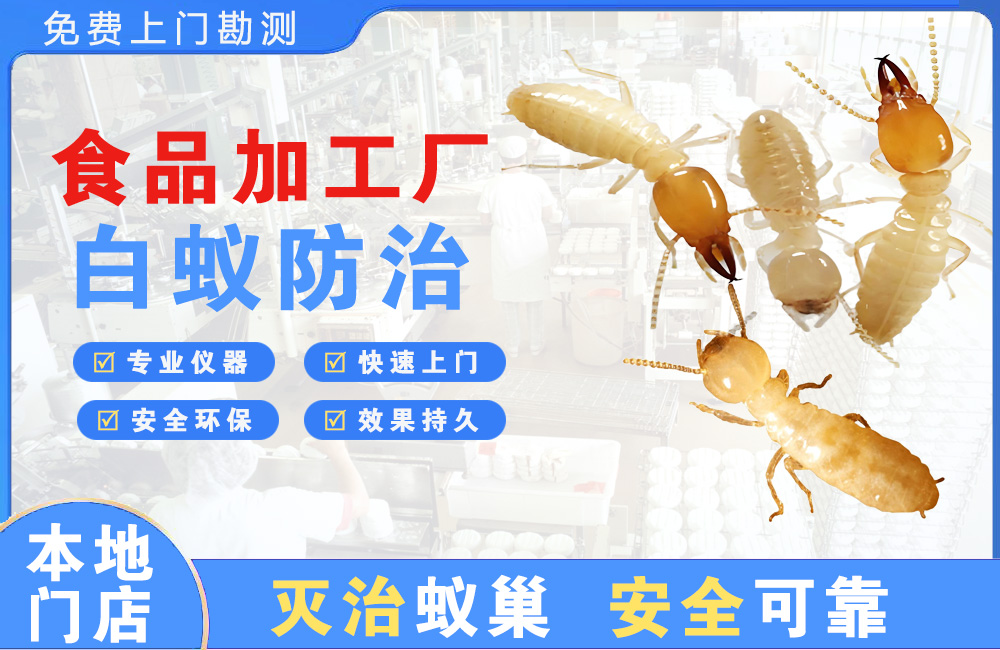 温州食品加工厂白蚁防治