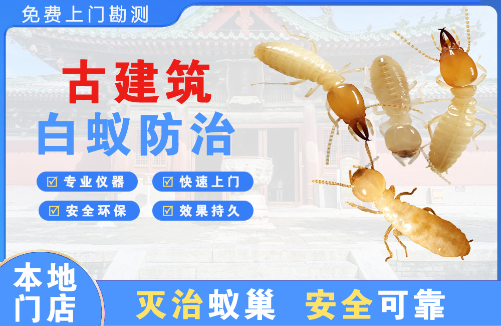温州古建筑白蚁防治