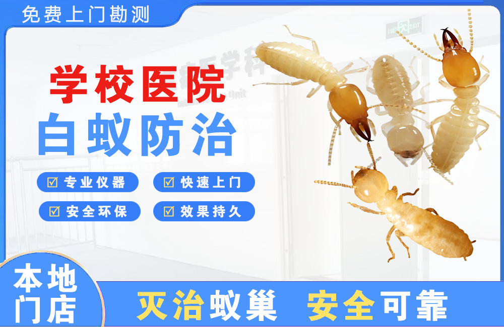 温州学校医院白蚁防治